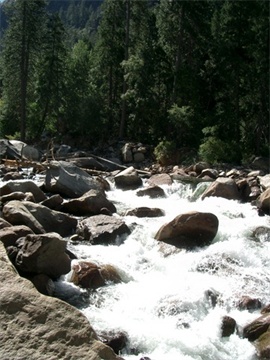 Irrelevant Image: Yosemite Rapids